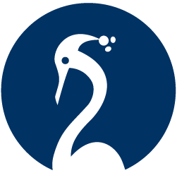 DVC Store logo
